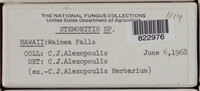 Image Associated With the Occurence